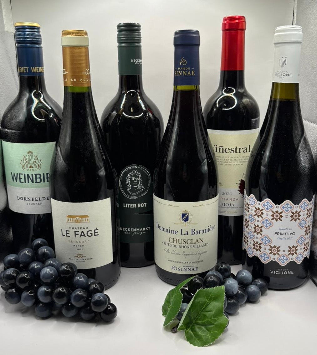 Rotwein Probierpaket Europa 6 Flaschen Primitivo Rioja Côtes du Rhône Weinset