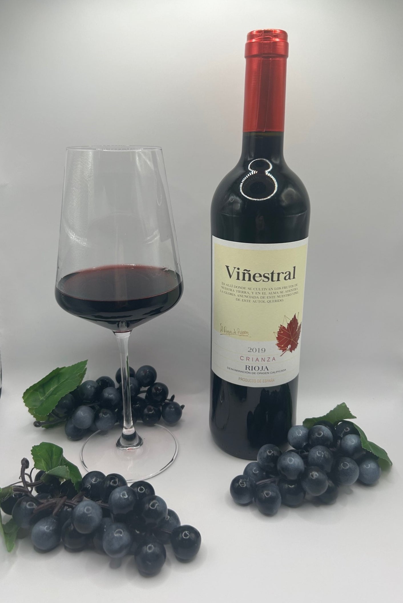 Rotwein Probierpaket Europa 6 Flaschen Primitivo Rioja Côtes du Rhône Weinset