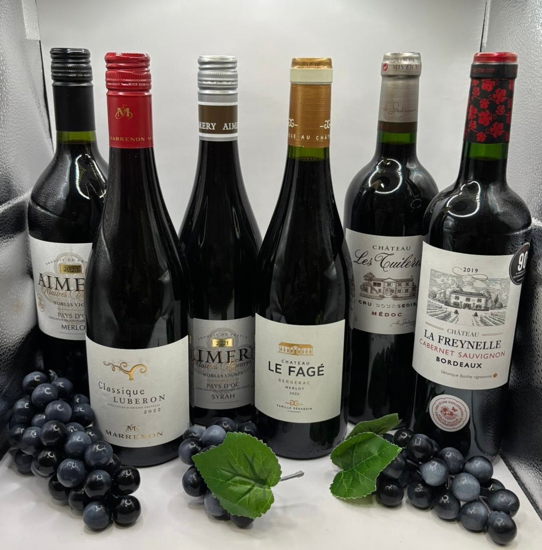 Frankreich Rotwein Probierpaket 6 Flaschen Bordeaux Médoc Syrah Weinset