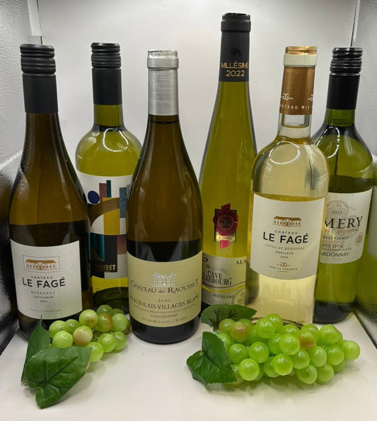 Weißwein Probierpaket Frankreich 6 Flaschen Chardonnay Sauvignon Riesling