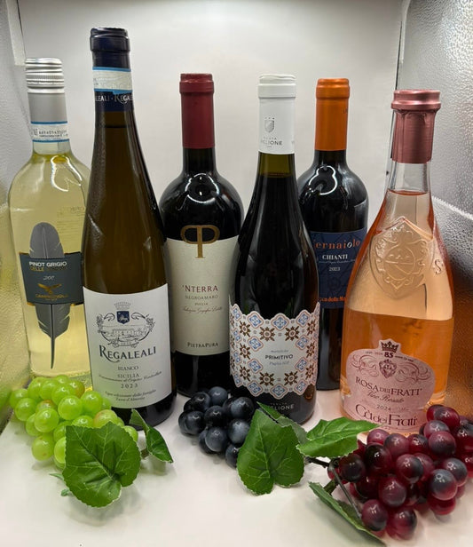 Italien Wein Probierpaket 6 Flaschen Primitivo Chianti Pinot Grigio Weinset