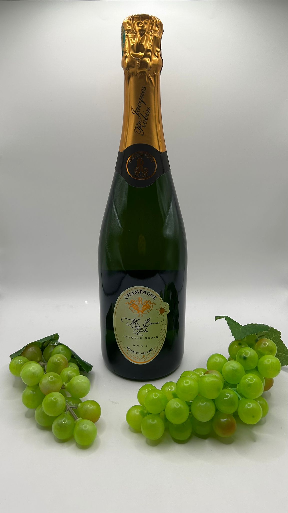 Champagner „Ma Bonne Étoile“ – Pinot Noir – Brut – Jacques Robin